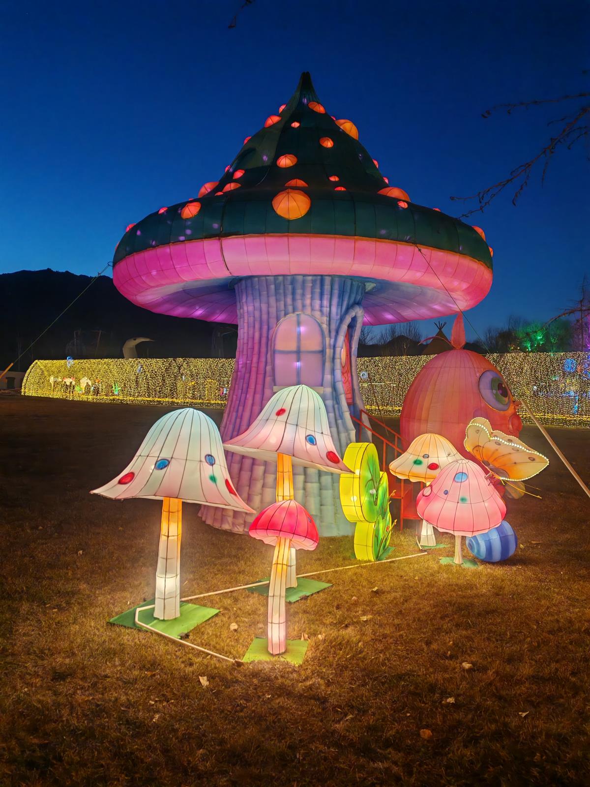 大明川景區2025新春燈會